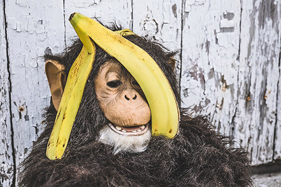 免费ddos在线攻击